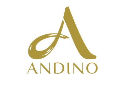 Centro Comercial Andino